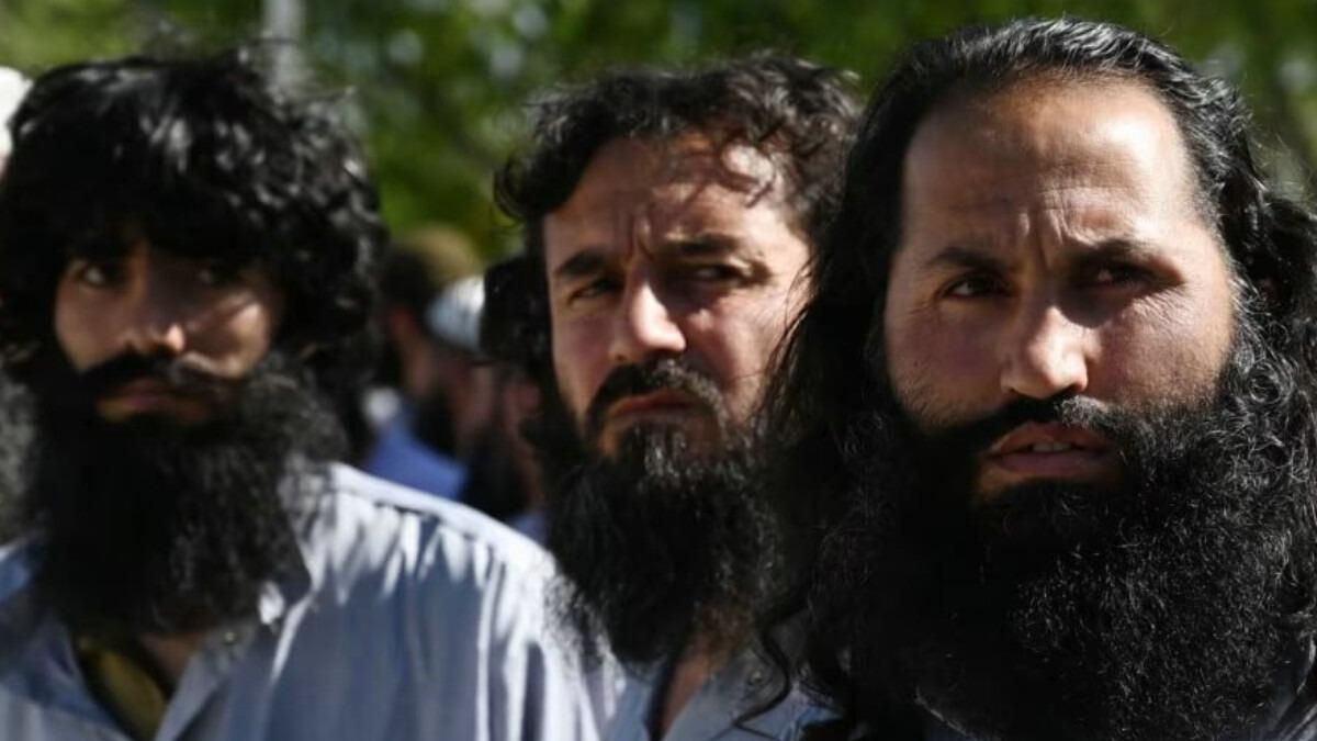 New best parada wave