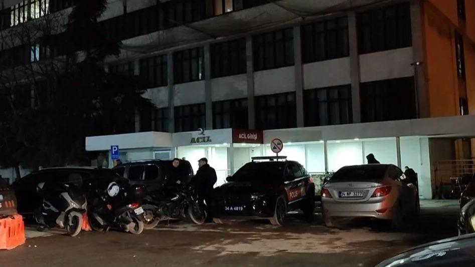 New best parada wave