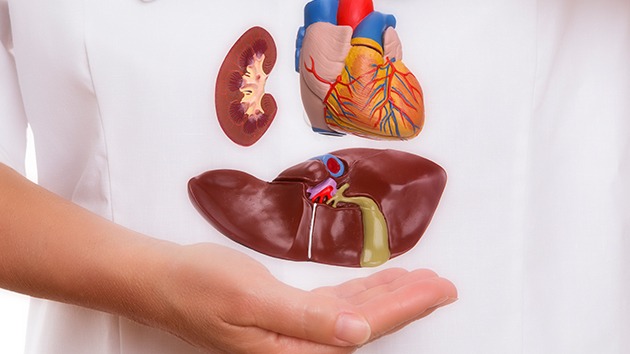 New best parada wave