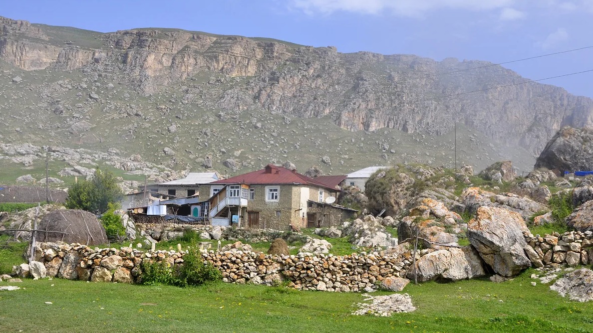 New best parada wave