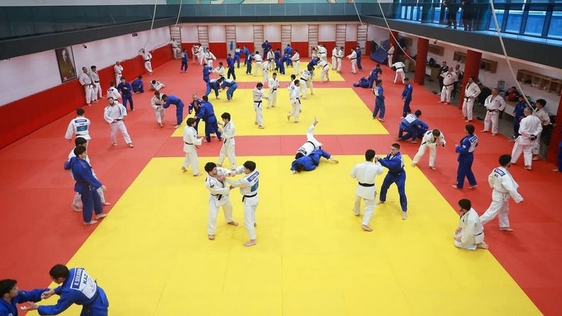 New best parada wave