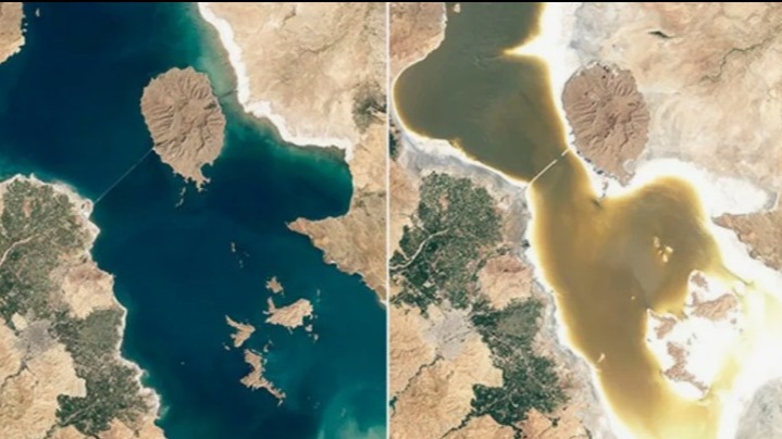 New best parada wave