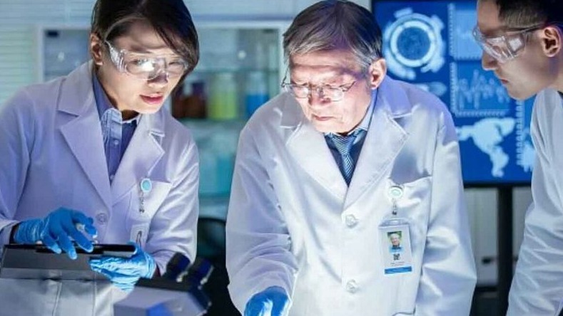 New best parada wave