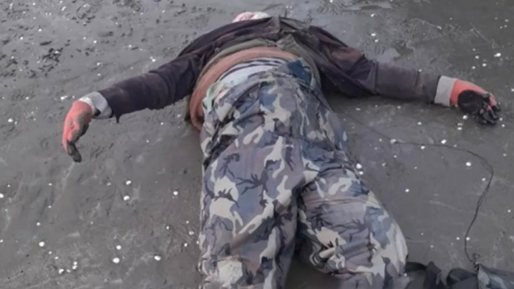 New best parada wave