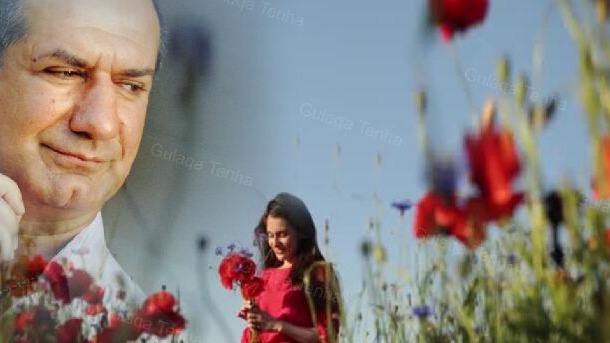 New best parada wave