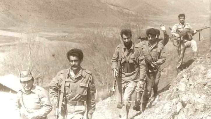 New best parada wave