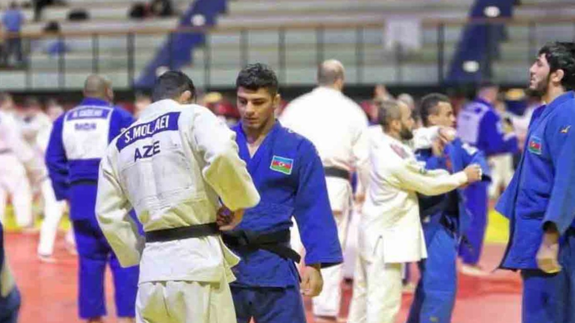 New best parada wave