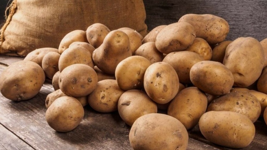 New best parada wave