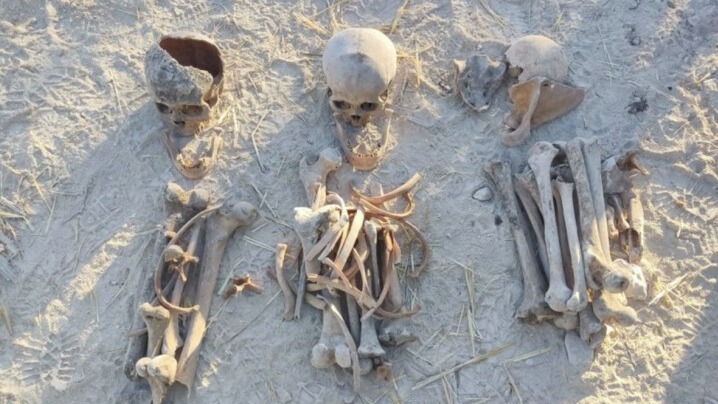 New best parada wave