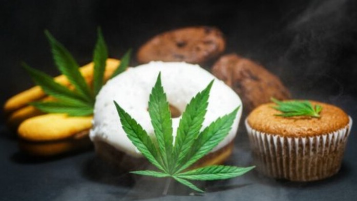 New best parada wave