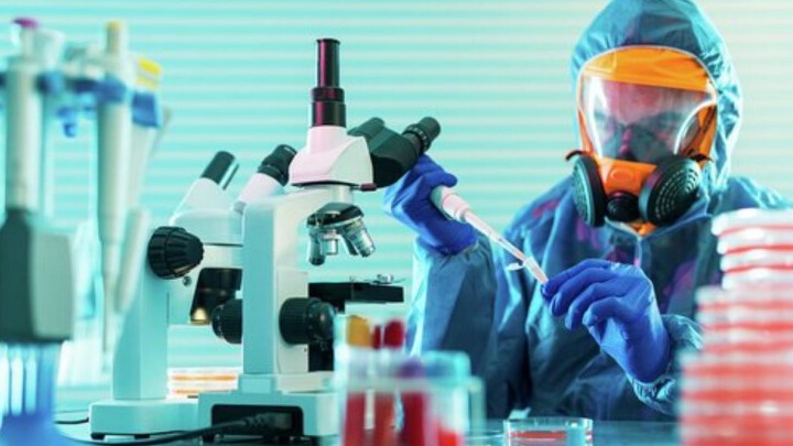 New best parada wave