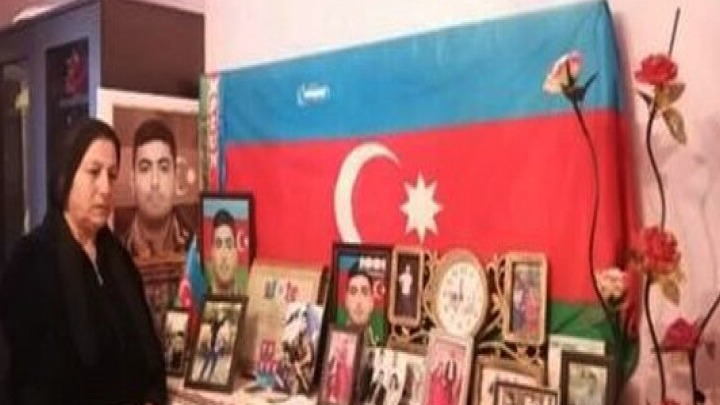 New best parada wave