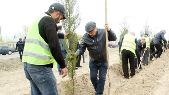 New best parada wave