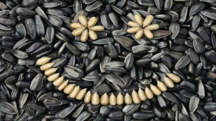 New best parada wave