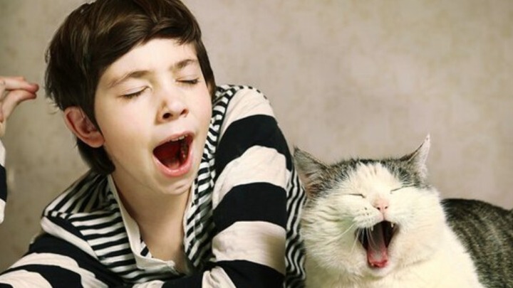 New best parada wave