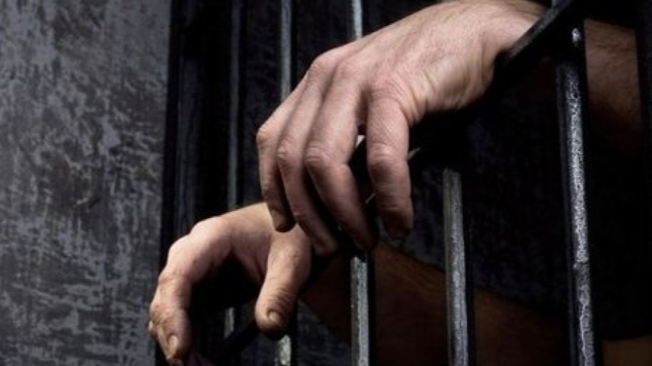 New best parada wave