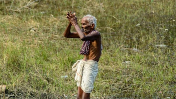 New best parada wave