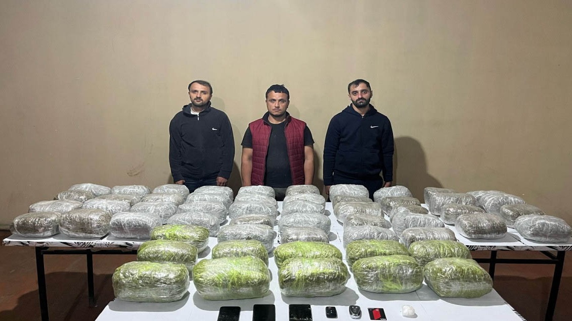 New best parada wave