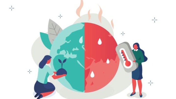 New best parada wave