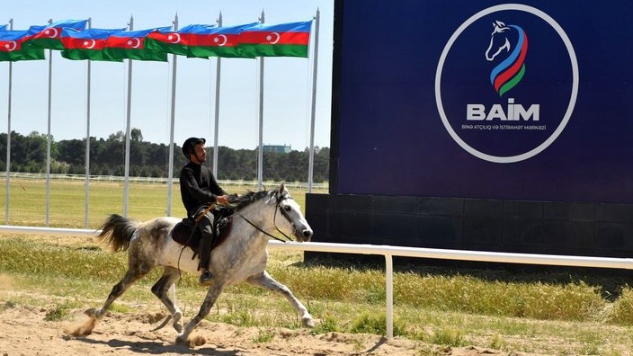 New best parada wave