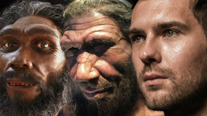 New best parada wave