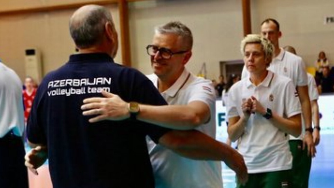 New best parada wave