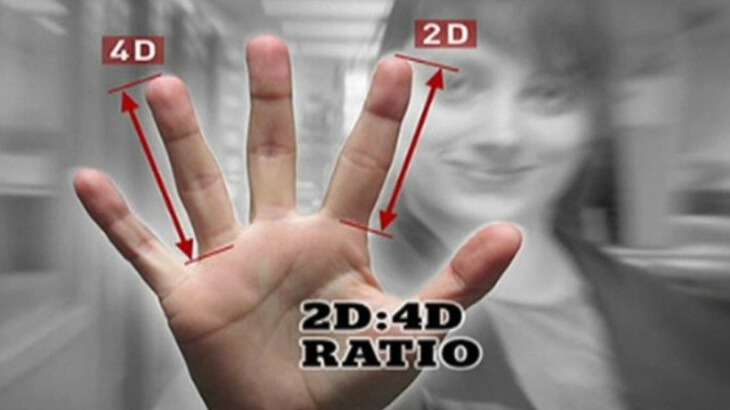 New best parada wave