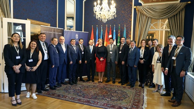 New best parada wave