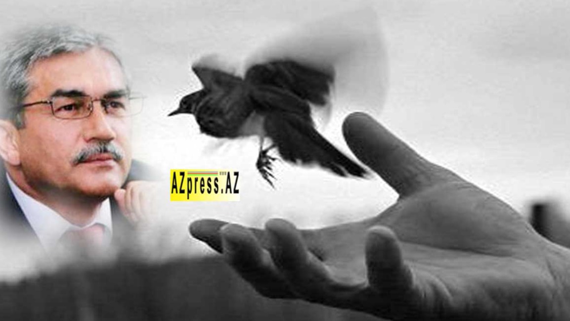 New best parada wave