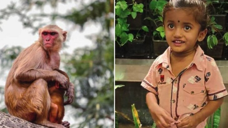 New best parada wave