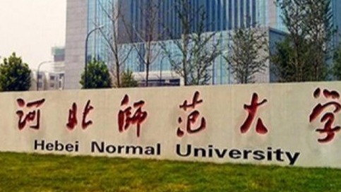 New best parada wave