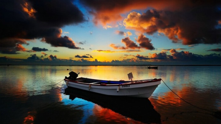 New best parada wave