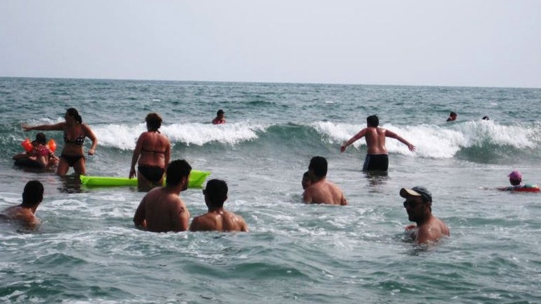 New best parada wave