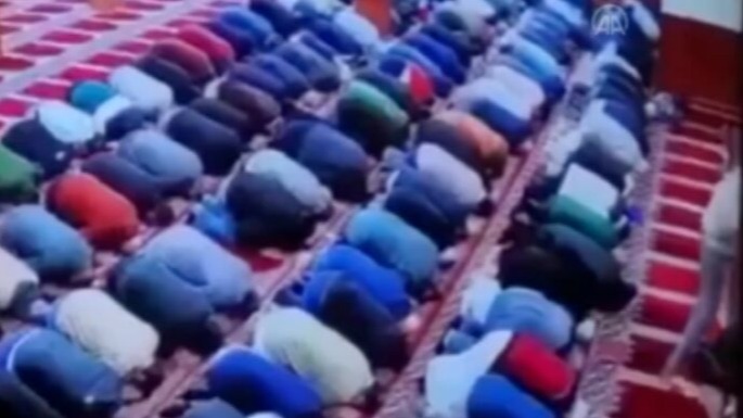 New best parada wave