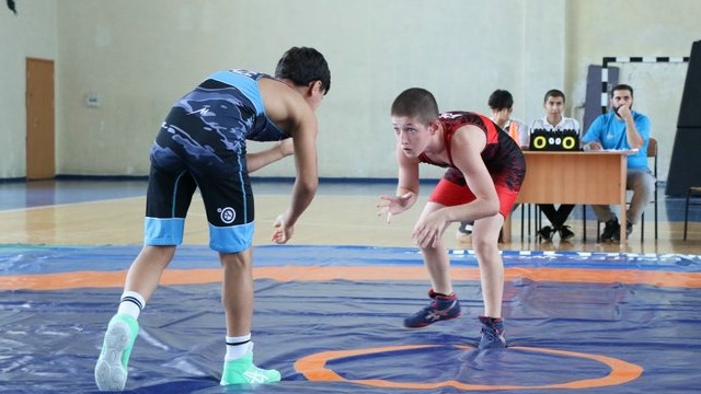 New best parada wave