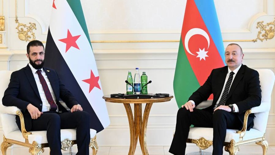 New best parada wave