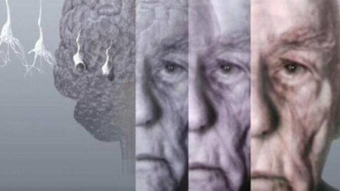 New best parada wave