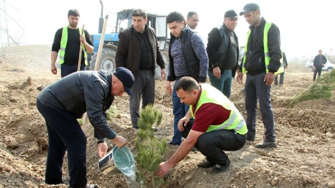 New best parada wave