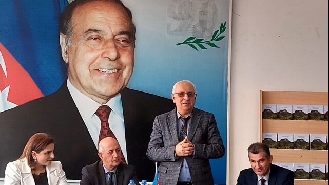 New best parada wave