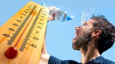 New best parada wave