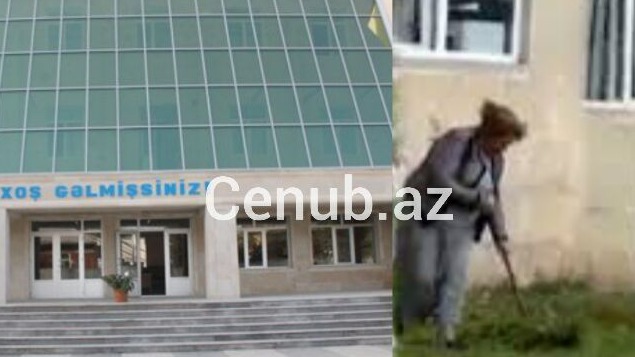 New best parada wave