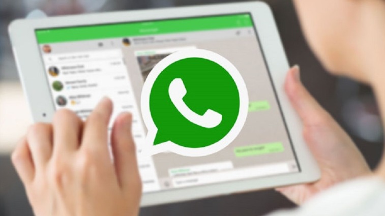 New best parada wave