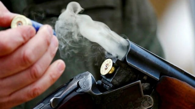 New best parada wave