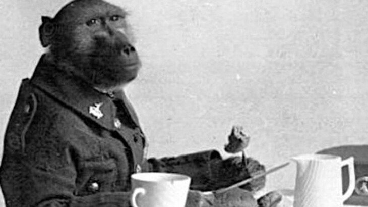 New best parada wave