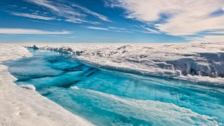 New best parada wave