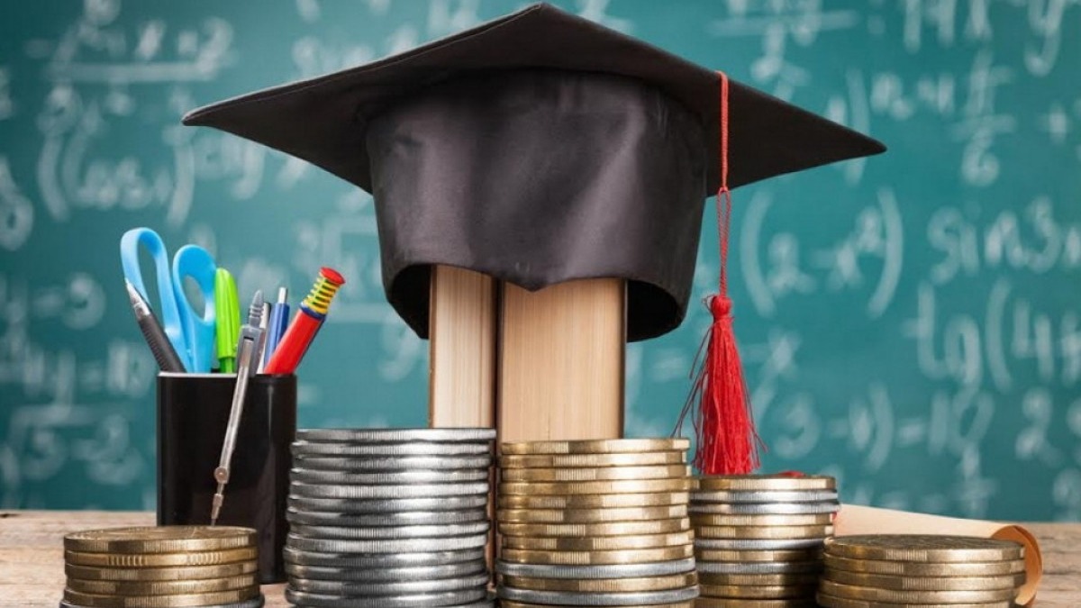 New best parada wave