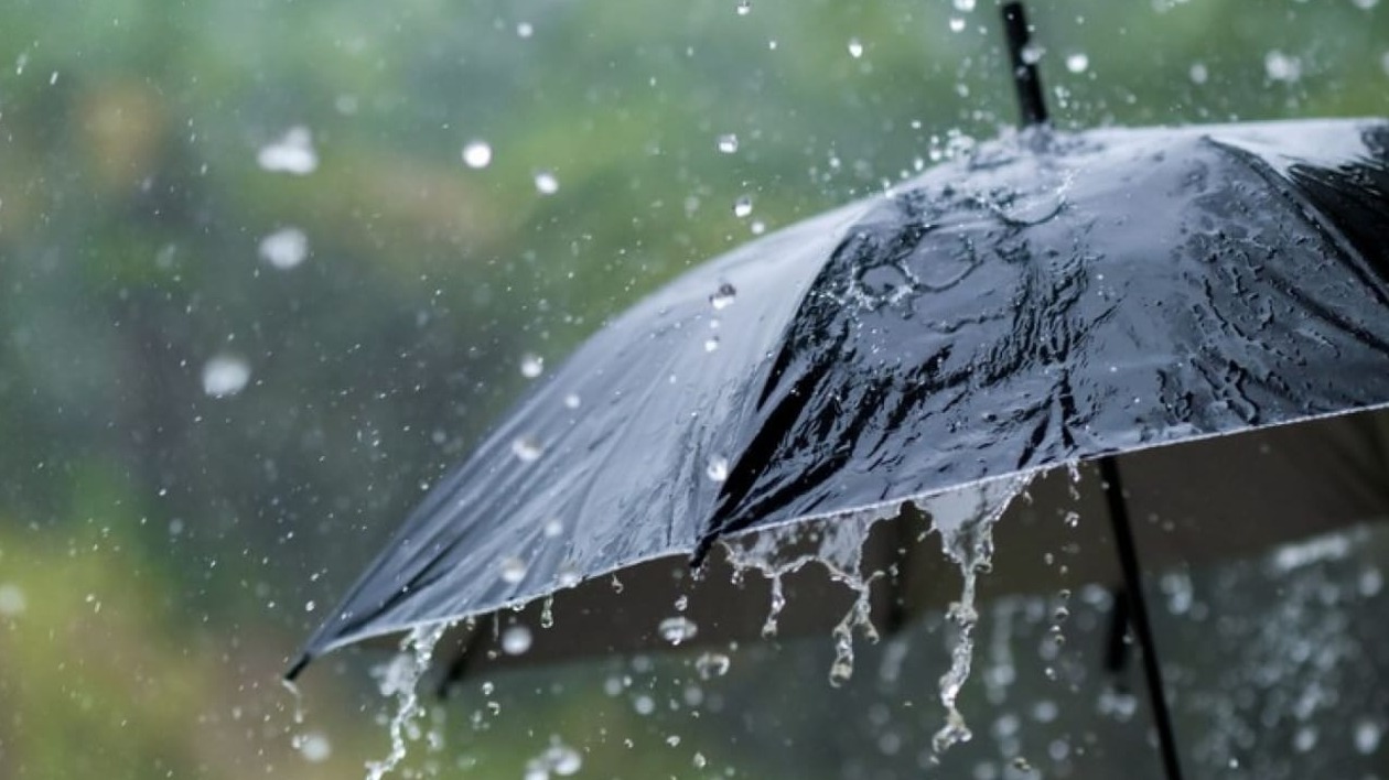 New best parada wave