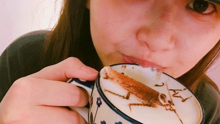 New best parada wave