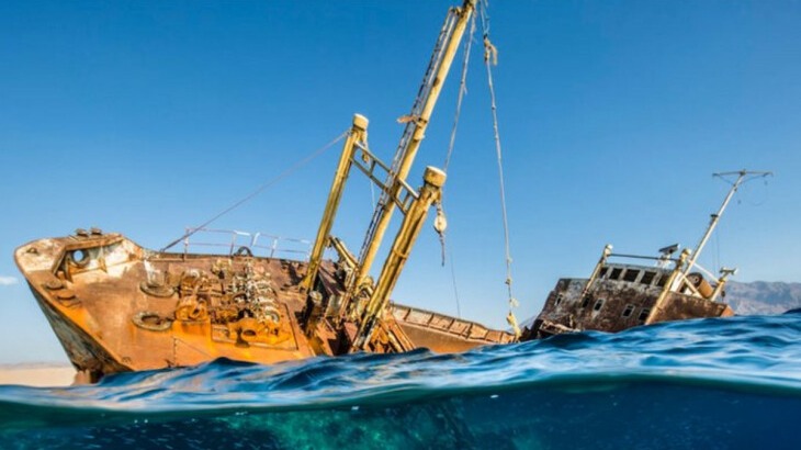 New best parada wave