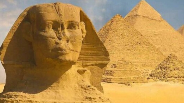 New best parada wave